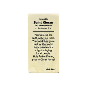 Saint Kieran of Clonmacnoise